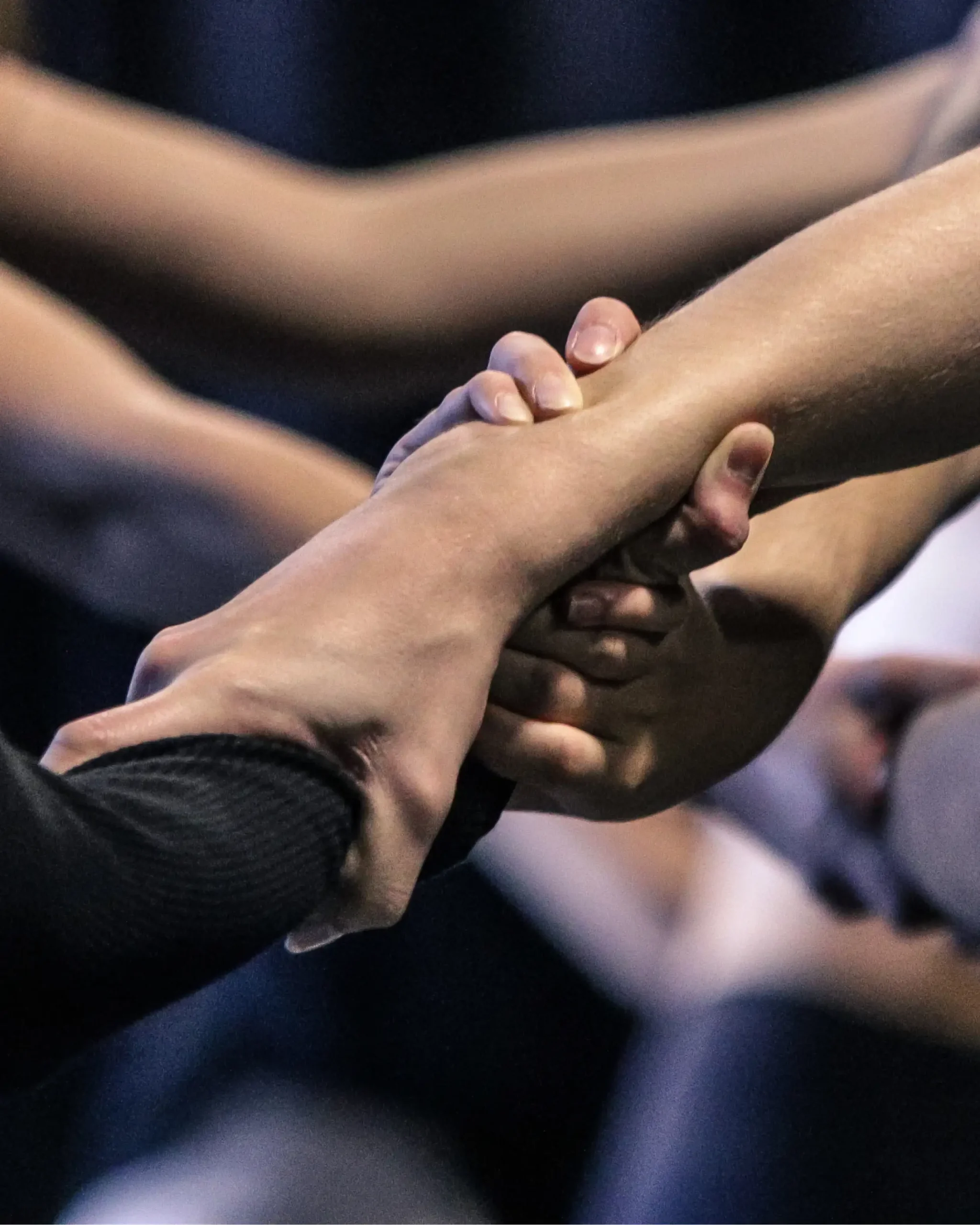 Êtres en relation｜Ambra Senatore, L&rsquo;École de Danse de Québec &amp; Le Pont Supérieur